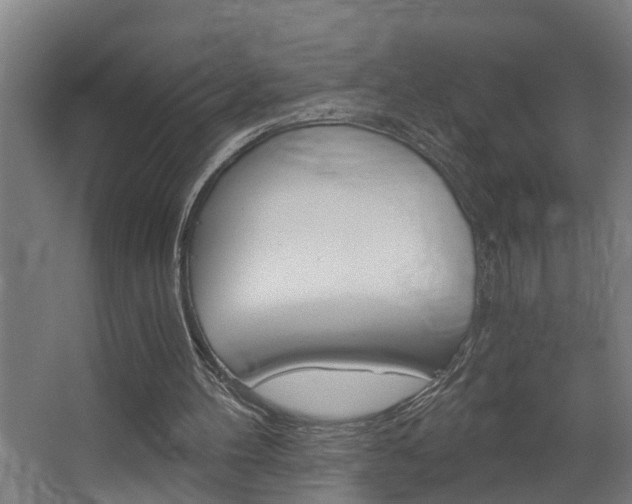 X0000068730100200604281000