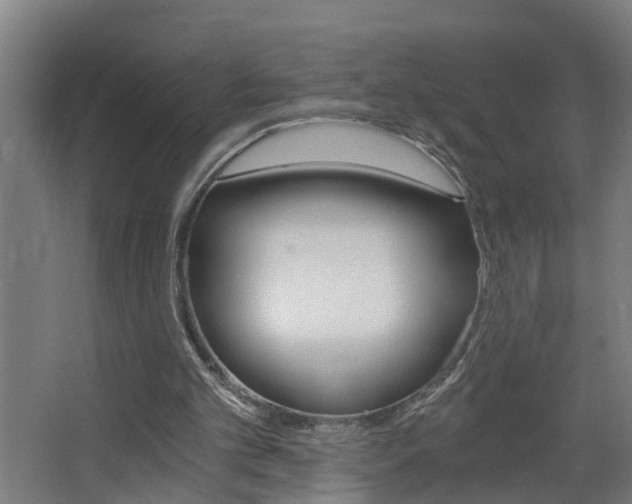 X0000068730101200604281000
