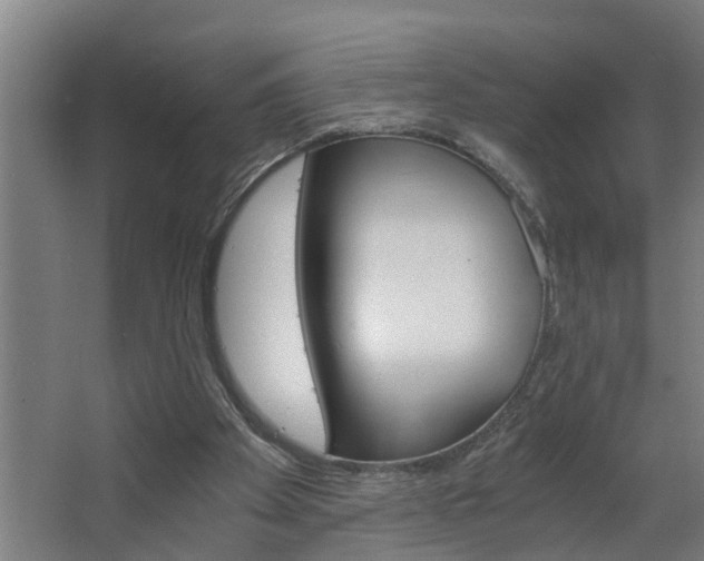 X0000068730105200604281000