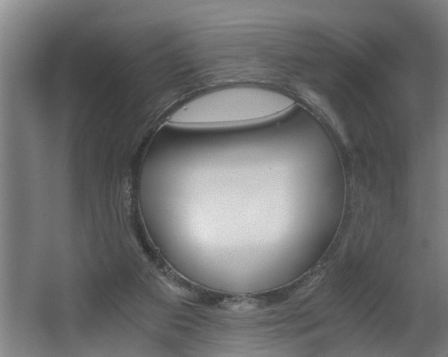 X0000068730113200604281000
