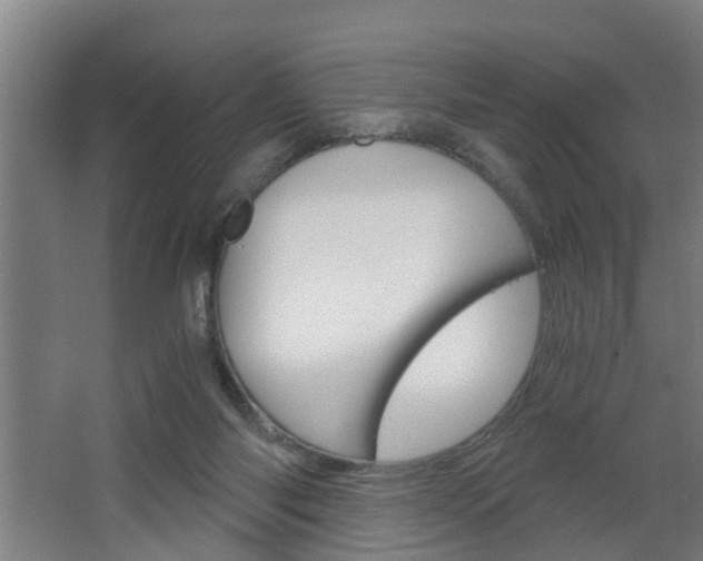 X0000068730118200604281000