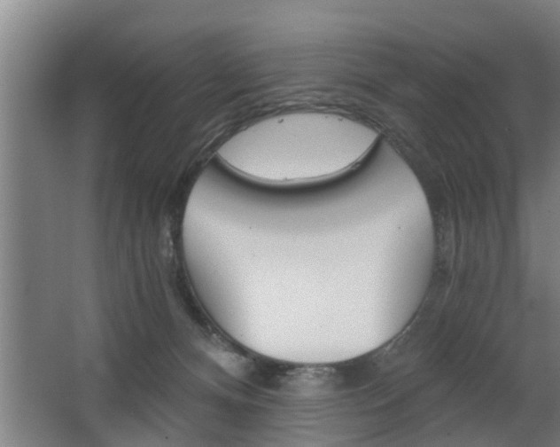 X0000068730128200604281000