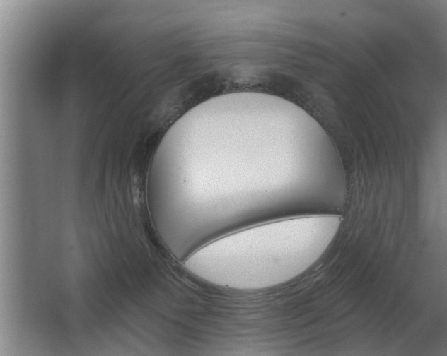 X0000068730135200604281000