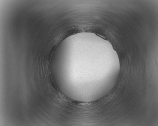 X0000068730139200604281000