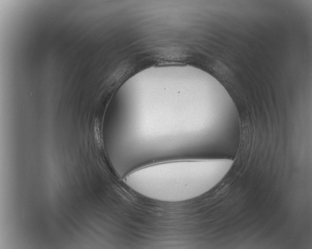 X0000068730143200604281000