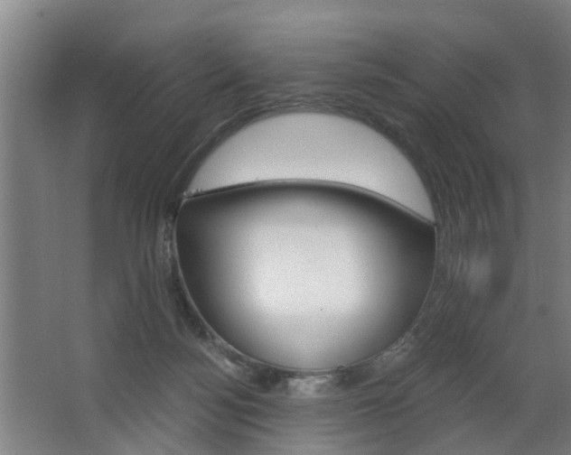 X0000068730172200604280959