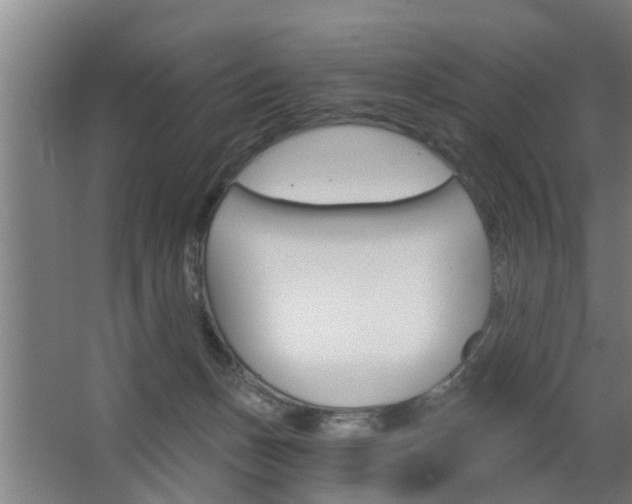 X0000068730175200604280959
