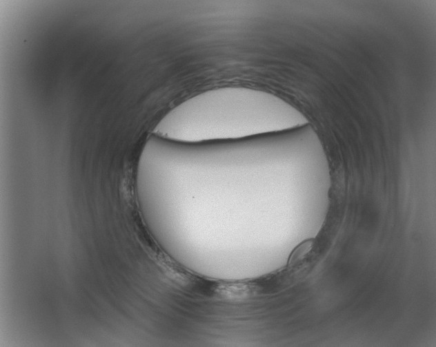 X0000068730181200604281000