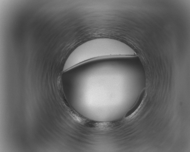 X0000068730192200604281000
