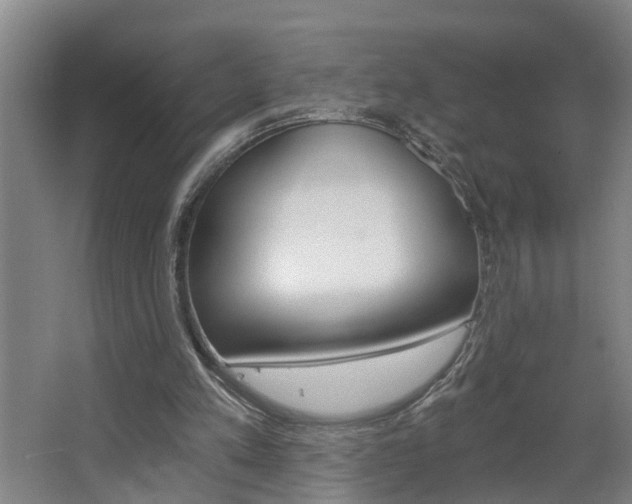 X0000068730197200604280959