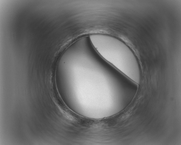 X0000068730201200604280959