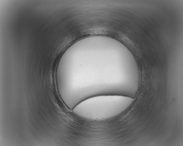 X0000068730202200604280959