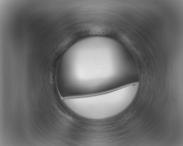 X0000068730211200604280959