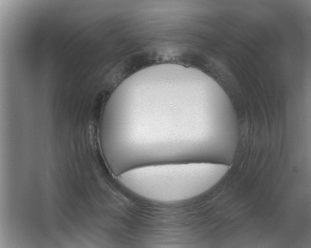 X0000068730222200604280958