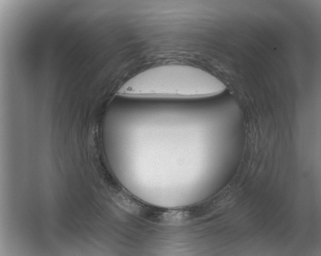 X0000068730225200604280958