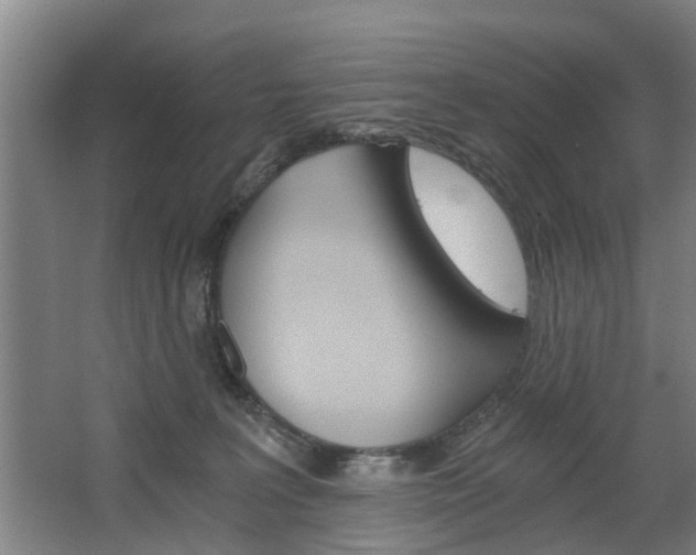 X0000068730227200604280958