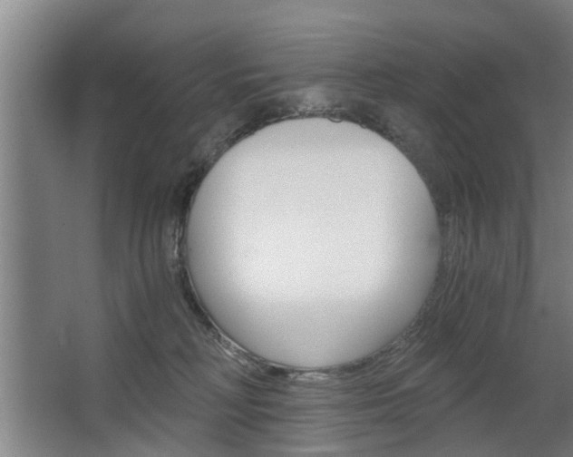 X0000068730230200604280958