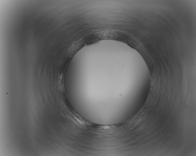 X0000068730239200604280958