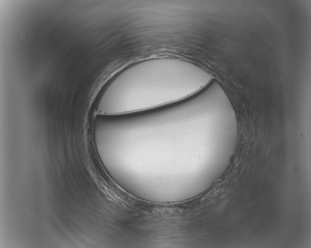 X0000068730242200604280957