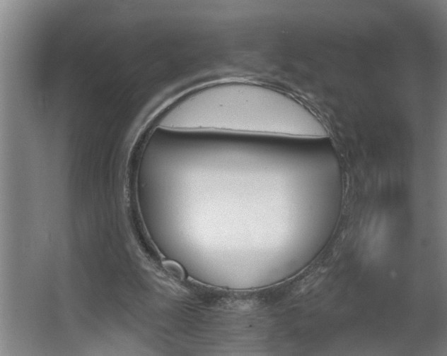 X0000068730247200604280957