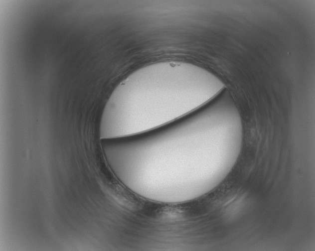 X0000068730263200604280958