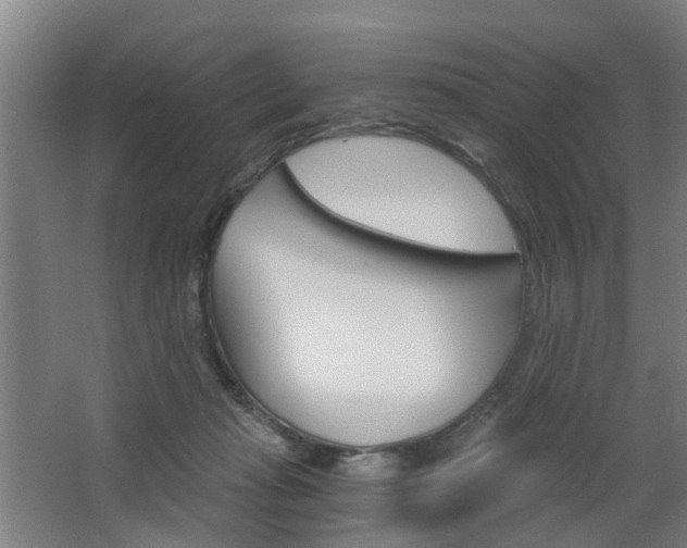 X0000068730269200604280958