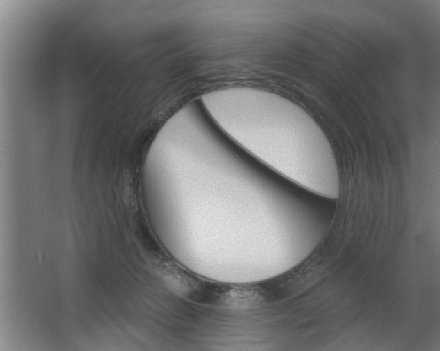 X0000068730270200604280958