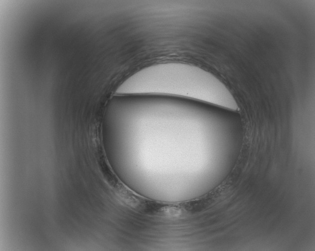 X0000068730272200604280958