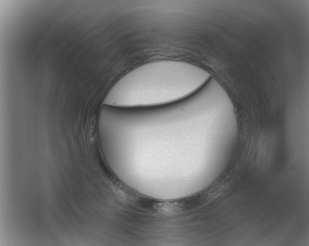 X0000068730273200604280958
