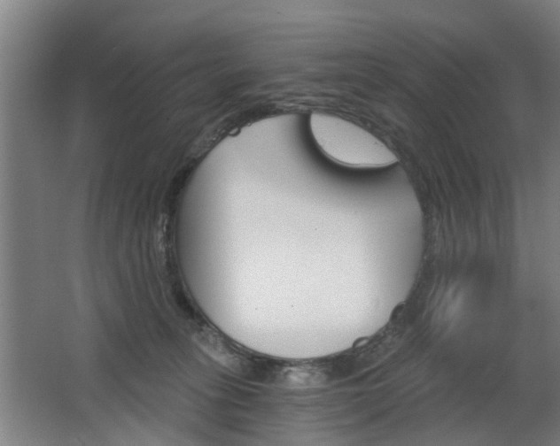X0000068730275200604280958