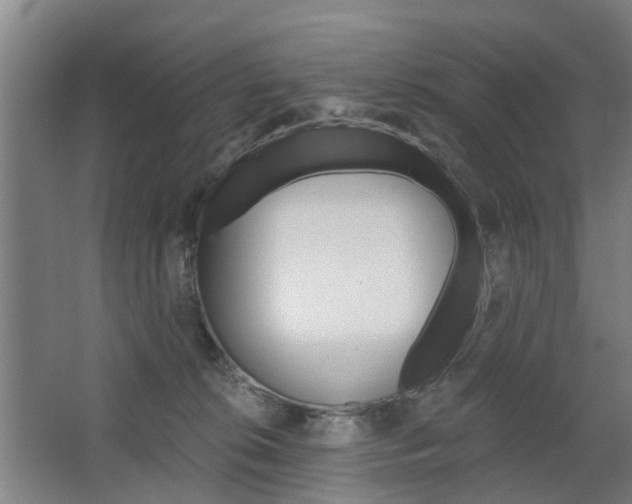 X0000068730276200604280958