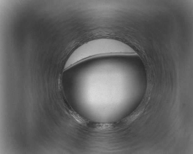 X0000068730288200604280958