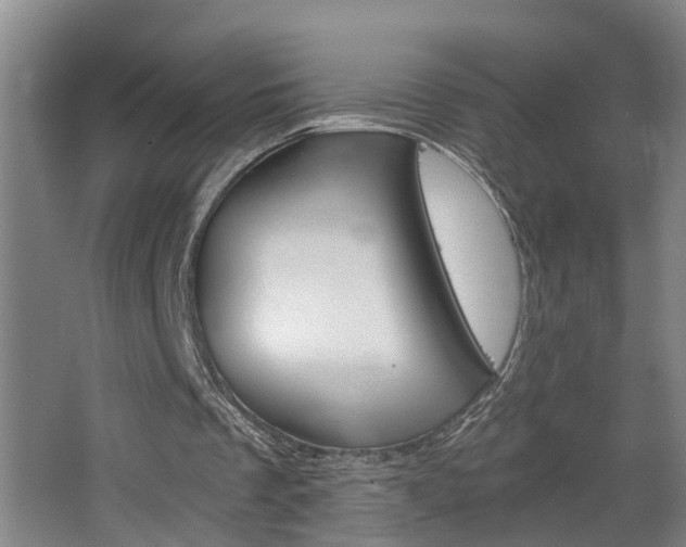 X0000068730289200604280957