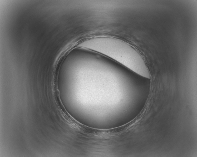 X0000068730293200604280957