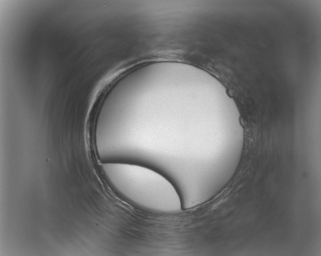 X0000068730294200604280957