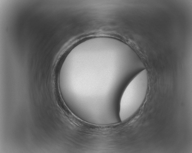 X0000068730295200604280957