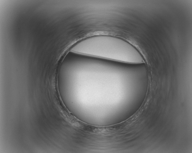 X0000068730297200604280957