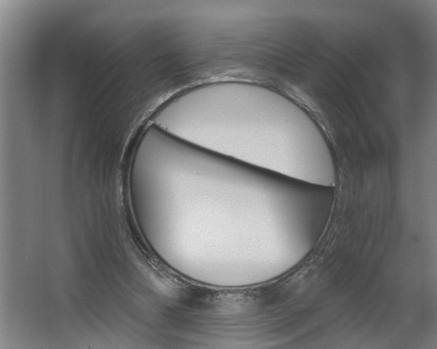 X0000068730298200604280957