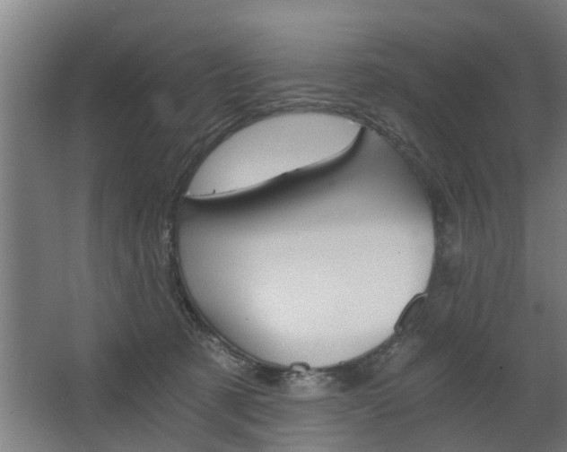 X0000068730321200604280957