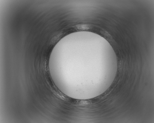 X0000068730330200604280957