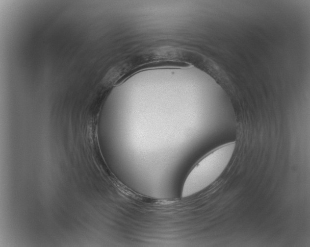 X0000068730333200604280957