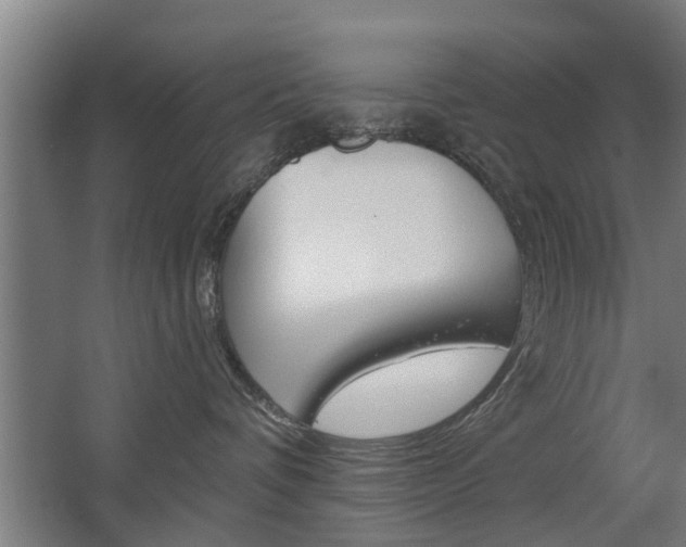 X0000068730336200604280956