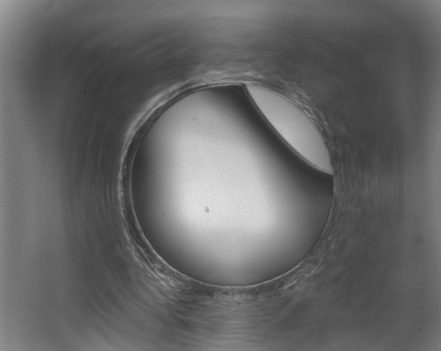 X0000068730340200604280956