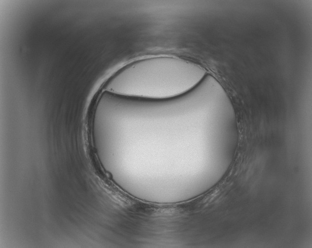X0000068730342200604280956