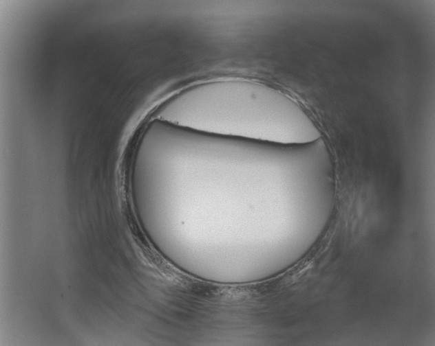 X0000068730343200604280956