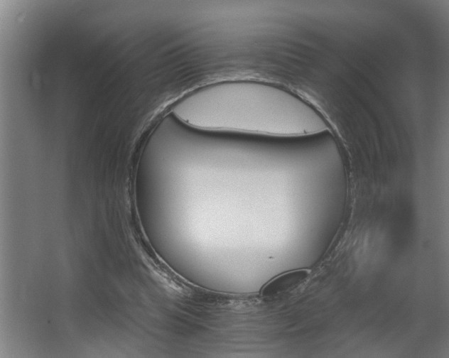 X0000068730345200604280956