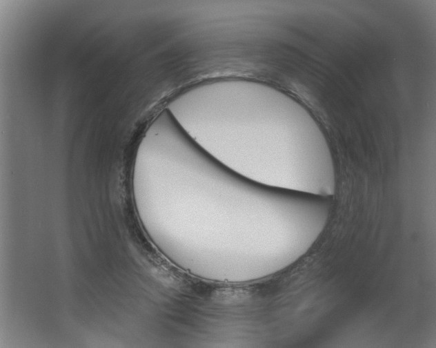 X0000068730354200604280956