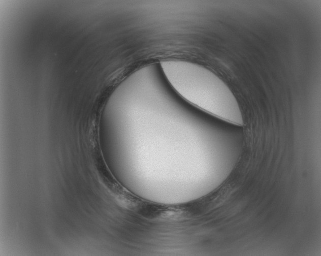 X0000068730364200604280956