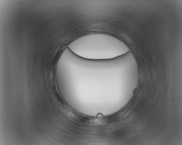 X0000068730365200604280956