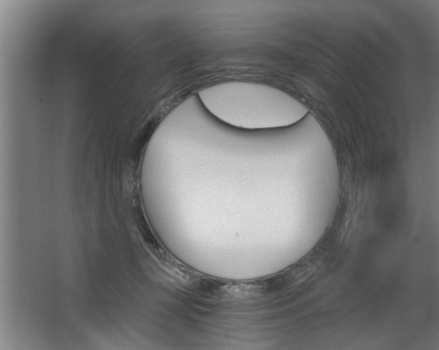 X0000068730367200604280956